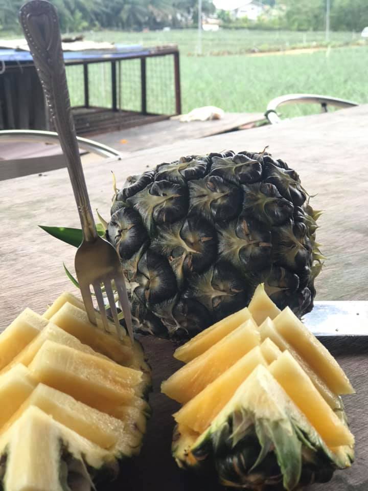 75614250_1423988624426381_3536446212913758208_n