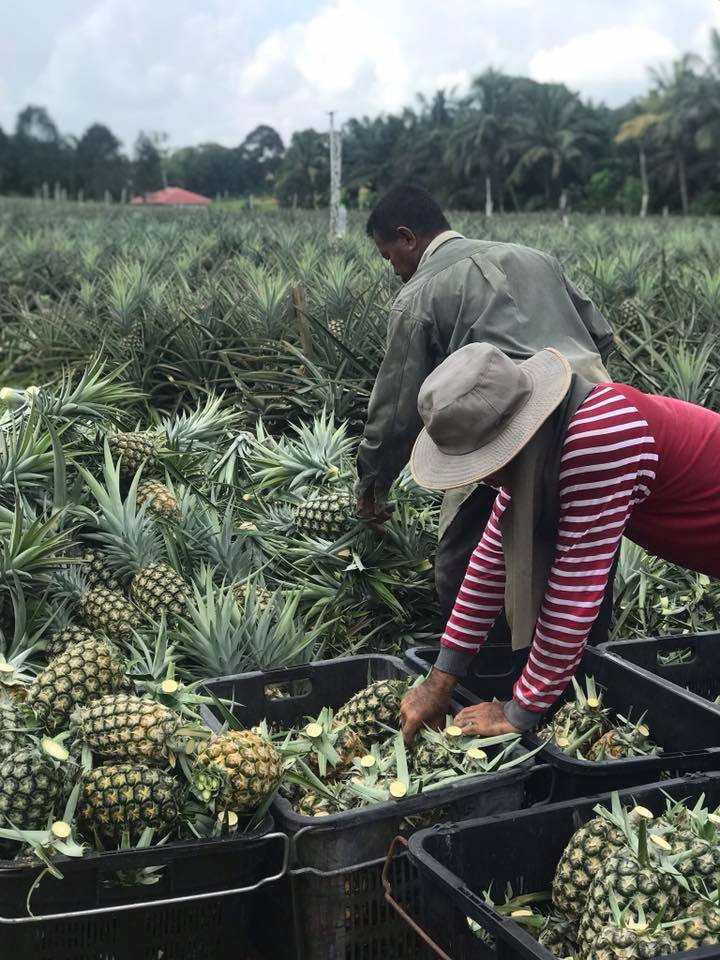 77083077_1432018643623379_576741514315563008_n