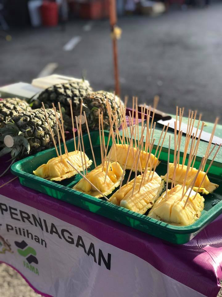 81581544_1469983283160248_6666515994808156160_n